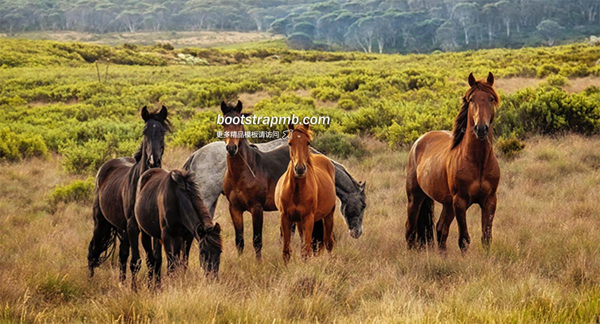 hors