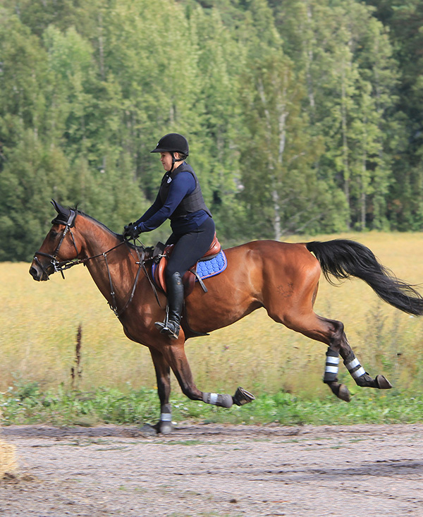 category