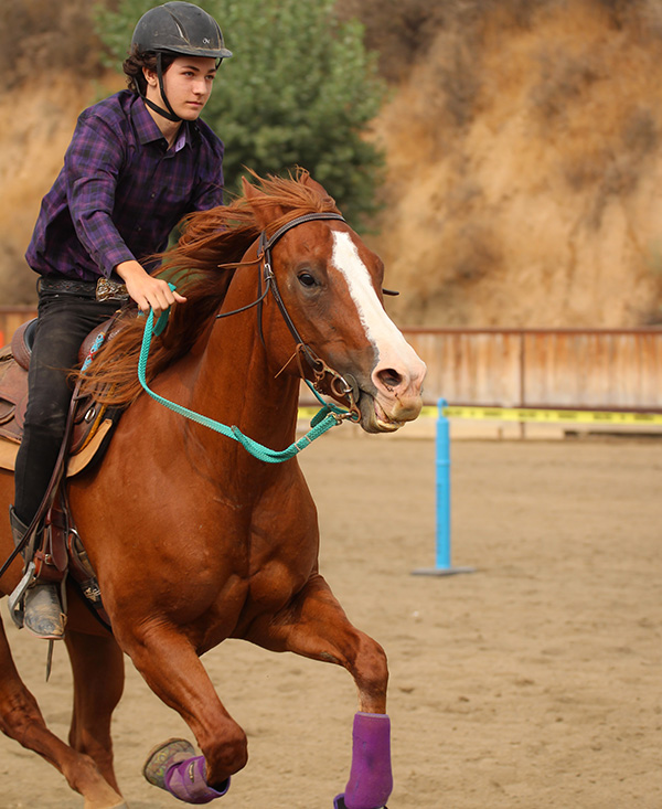 category